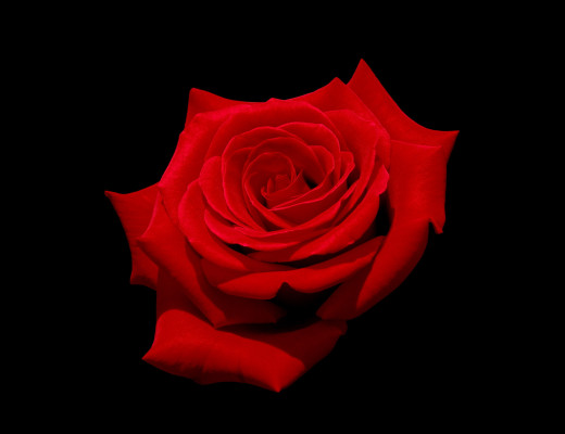 1725006 (a): :2560x1967